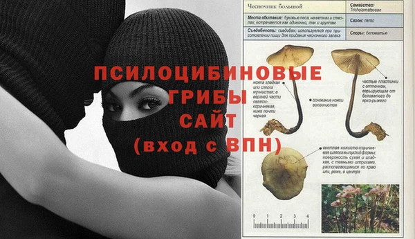мдма Коряжма