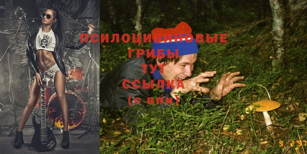 гидропоника Козельск