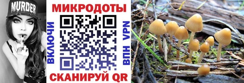 Псилоцибиновые грибы прущие грибы  Купить  Белоярский 
